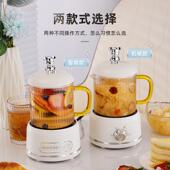 mini多功能养生壶家用办公室实用小型花茶壶烧水壶电炖杯自动保温