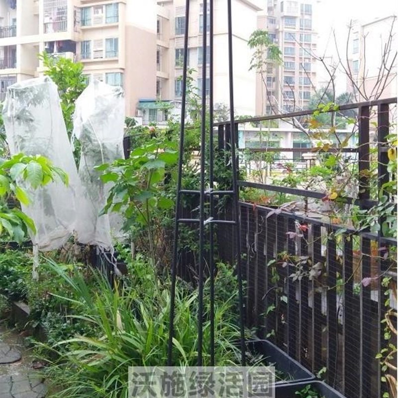 新品包邮蘑菇爬藤架园艺花架庭院花园伞型爬藤花架铁线莲牵牛铁艺