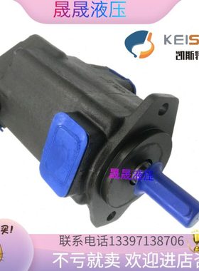 KEISTER凯斯特原装叶片泵2520V-21A1 21A3 A4 A5 A5 A6 A7 A8双泵