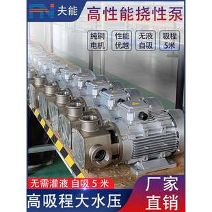 防爆挠性泵杂质泵不锈钢食品豆浆泵泥浆泵转子泵齿轮泵自吸隔膜泵