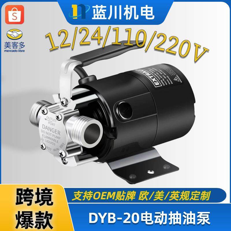 DYB-20电动抽油泵DC/AC直流12V/24V交流110V美规水池水族箱抽水泵,3C数码配件,USB灯,淘宝优惠券,粉丝福利购,淘宝优惠卷