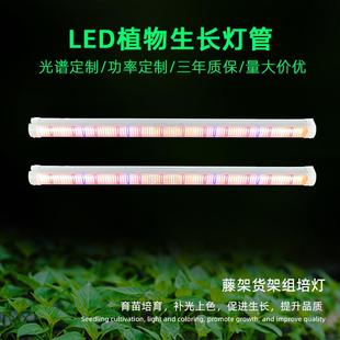 龙舌兰盆栽花卉植物补光灯管地上树冠红光660水培增产种植生长灯