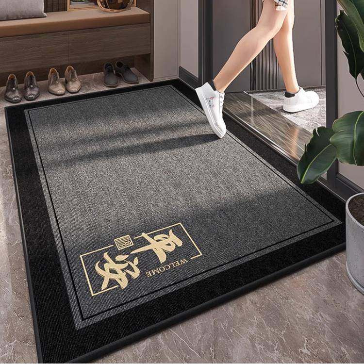 入户地垫2025新款进门门口玄关脚垫进户门垫耐脏免洗入门防滑地毯