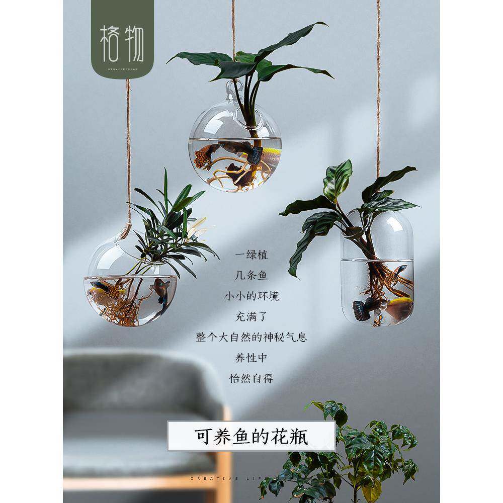 悬挂式植物玻璃瓶花瓶水养培器皿挂墙花盆客厅盆景盆创意透明壁挂