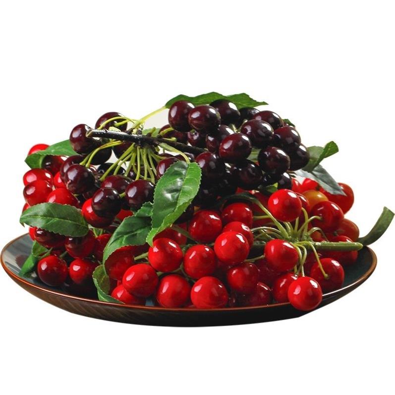 彷真樱桃树枝串假大樱桃樱桃串彷真假水果假樱桃模型摄影橱窗道具