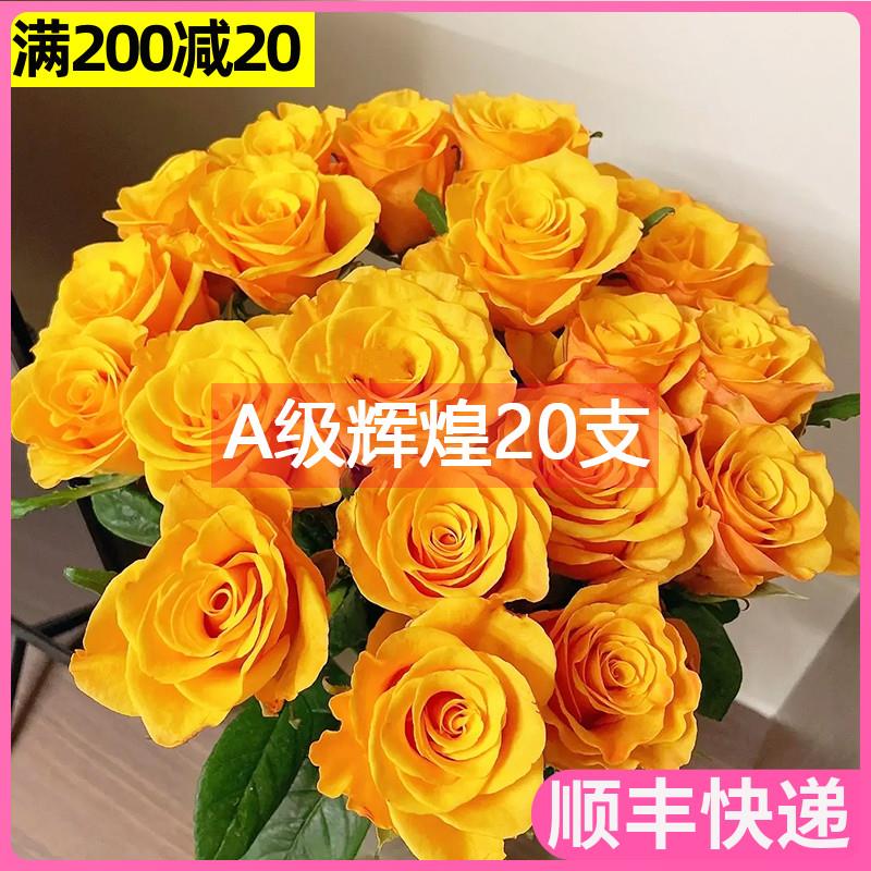 A级辉煌玫瑰花斗南鲜花基地直发昆明花卉市场批鲜切发真花黄玫瑰