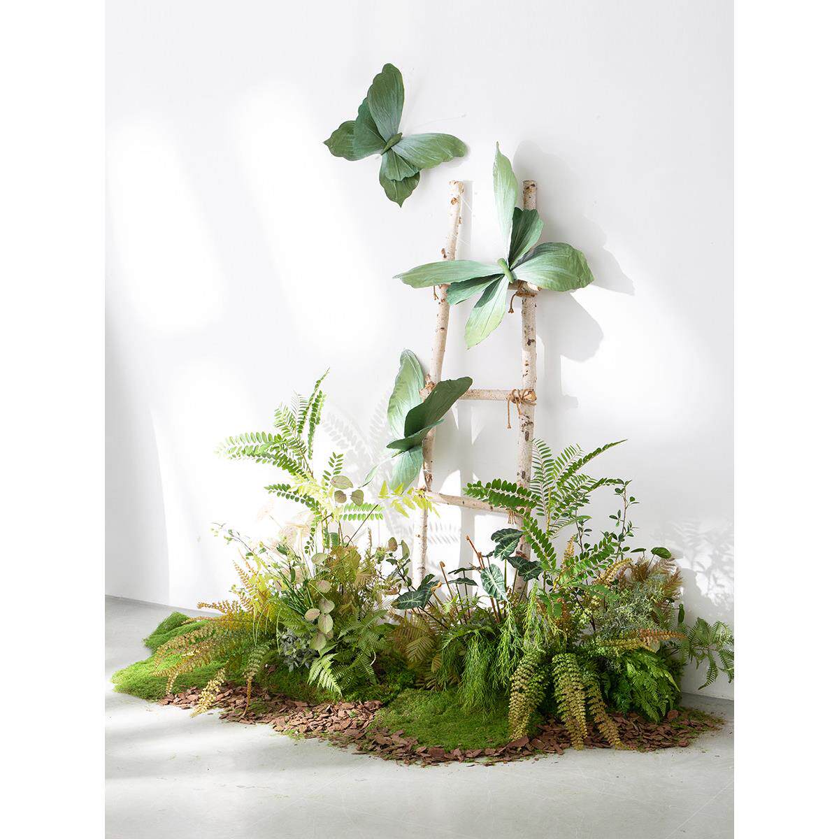 模拟丛林绿色植物景观蝴蝶窗软装饰彷生苔藓蕨类叶景观流行照片背