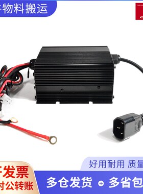 电动叉车搬运车林德MT15C中力153充电器充电机ESCH24V10A原装配件