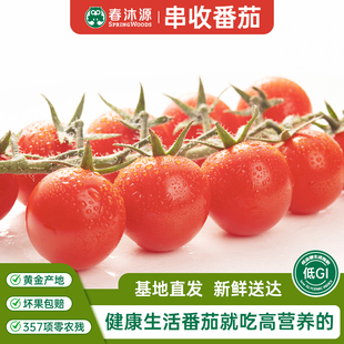 春沐源櫻桃串收番茄新鮮現(xiàn)摘生吃放心拍壞包賠圣女果 健康生活