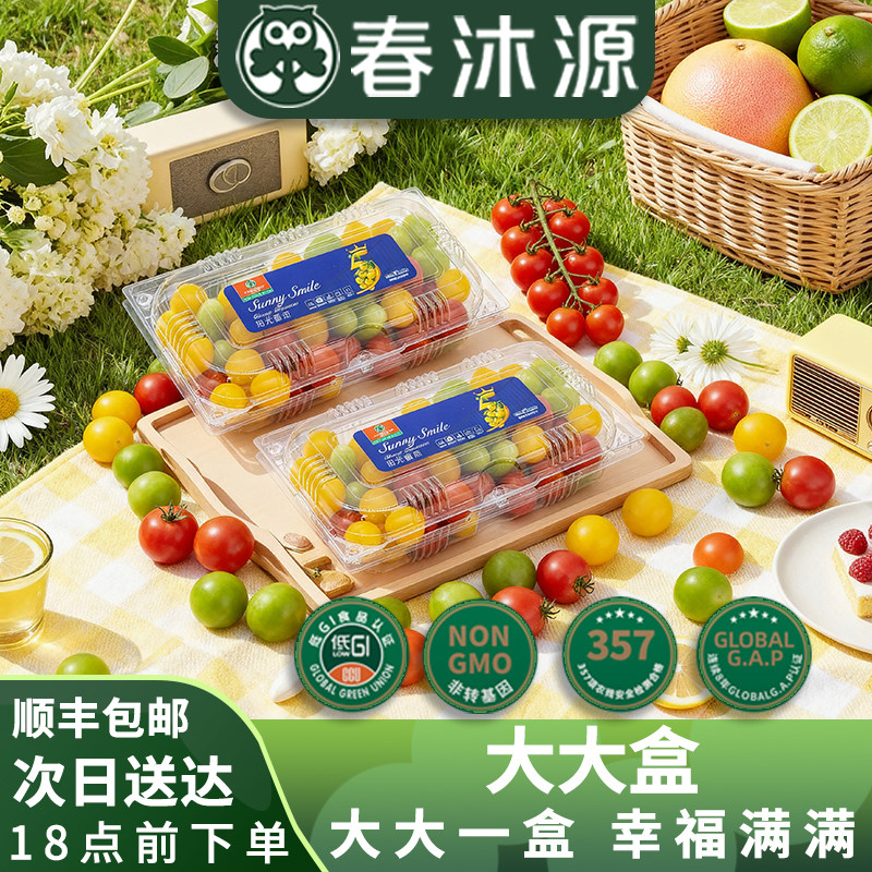 【大大盒】春沐源高原彩色樱桃小番茄爽口多汁多营养零农残新鲜