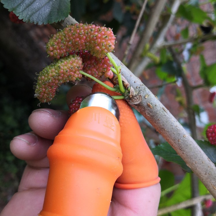 摘手套器指摘器器果神器神神花椒神拇刀菜神采摘摘摘豆角器掐尖器