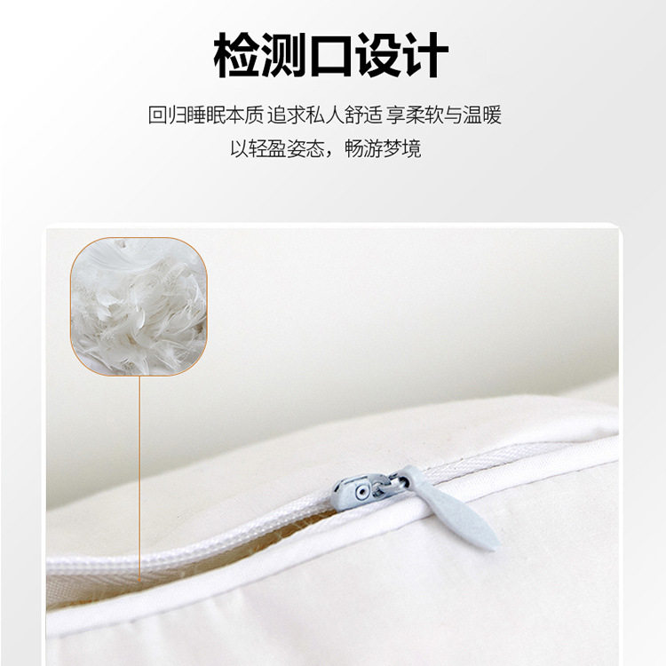 白鹅毛抱枕沙发靠枕靠背腰靠抱枕芯酒店羽绒靠垫床上床头靠垫定制