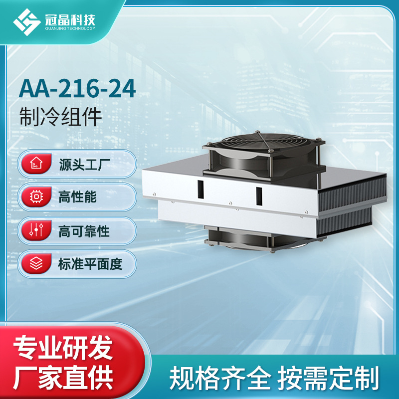 半导体制冷组件制冷器散热模组制冷热电半导体组件AA-216-24
