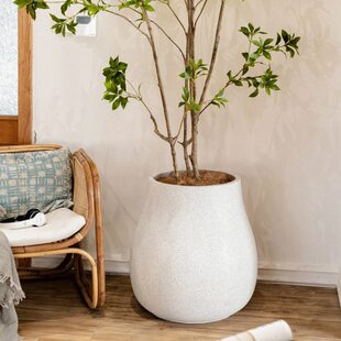 极简落地大花盆北欧圆球型软装特大花器客厅民宿商场别墅装饰摆件
