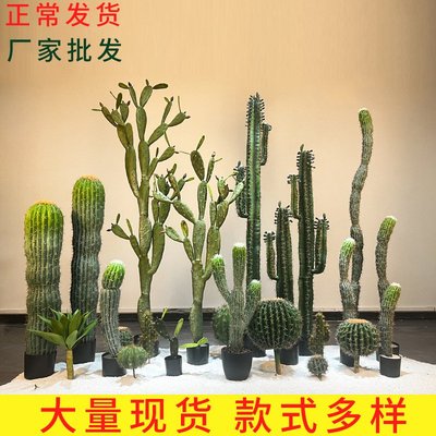 北欧仿真绿植仙人柱大型仙人掌落地室内客厅服装店铺橱窗装饰摆件