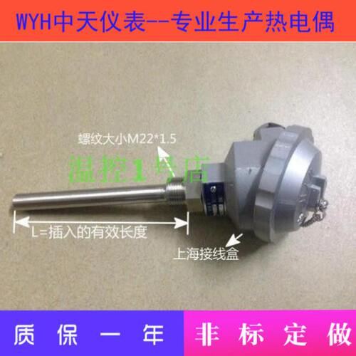 定做热电阻温度传感器WZP2-230/WZP2-220带螺纹双支四芯热电阻