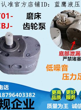 HY01-18*25 8X15 25*25 12X20 3*5X10机磨床70 100X25齿轮油泵CBJ