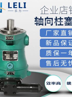 启东乐力牌16PCY14-1D直插式轴向柱塞泵电机组泵头