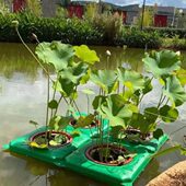 景观型床方形人工板态浮岛造景蔬菜上新保水种植浮岛水环生生稻浮