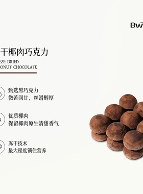 BWAY冻干椰肉黑巧克力办公室休闲喜糖解馋网红零食独立包装33g/盒