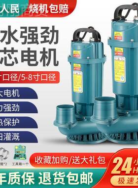 上海人民2量20V28462水泵3寸4清水泵农用灌溉家用大流潜高扬寸程