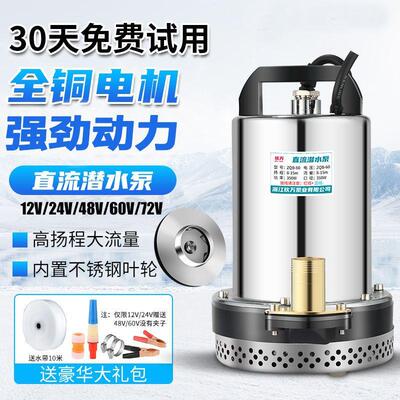 农用直流潜水泵12V24V48V60V72抽水泵家用井电瓶车电动车抽水机伏