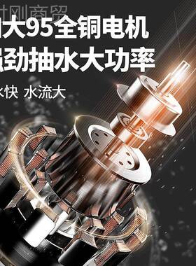 佳普直流潜水泵V1家用抽水机2V24V48V60V72电瓶车型通用ECP灌溉神