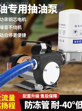 电动抽停油泵12v24v22WFA0v伏吸枪泵柴油加油机泵停自封枪加自油