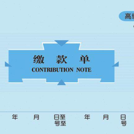财务款 高级4850碳三联 0莱特  10 缴单包无8 本/k用品