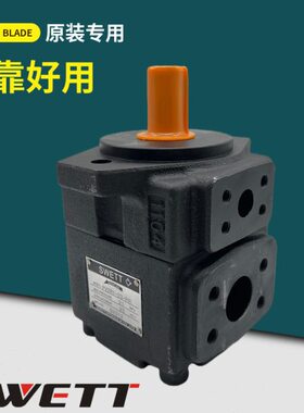 R  -叶片泵 V223-FTT3102541 4R1  原装  V2P1R21E197P 12SW-14 7