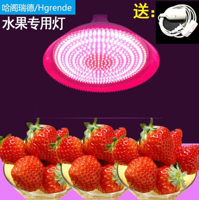 哈阁瑞德猪肉灯LED生鲜灯卖肉灯 水果店烧腊灯卤菜卤肉熟食灯节能