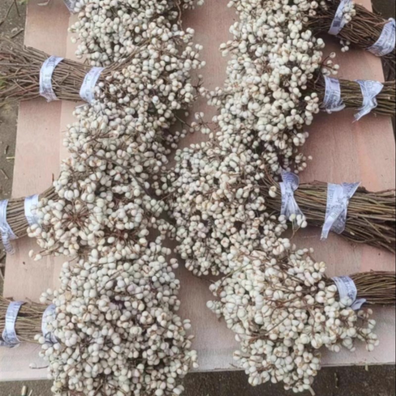 小白果乌桕果干花花束插花松树装饰树枝植物圣P诞树北欧风花束干