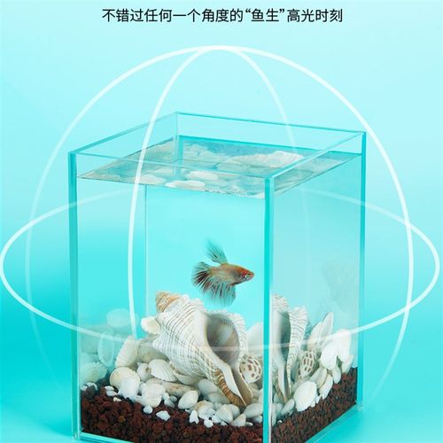 斗鱼缸超白玻璃鱼缸网红斗鱼专用鱼缸桌面造景摆件迷你小型鱼缸