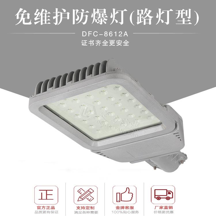 隔爆型ExdIIC80W100W120WLED防爆路灯6米至8米路灯头超亮防爆认证