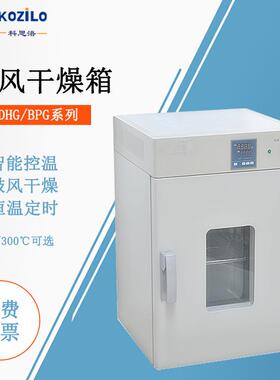 上海干燥箱D-9030A/B电热鼓风实验室小型烘箱烤箱烘干机箱式