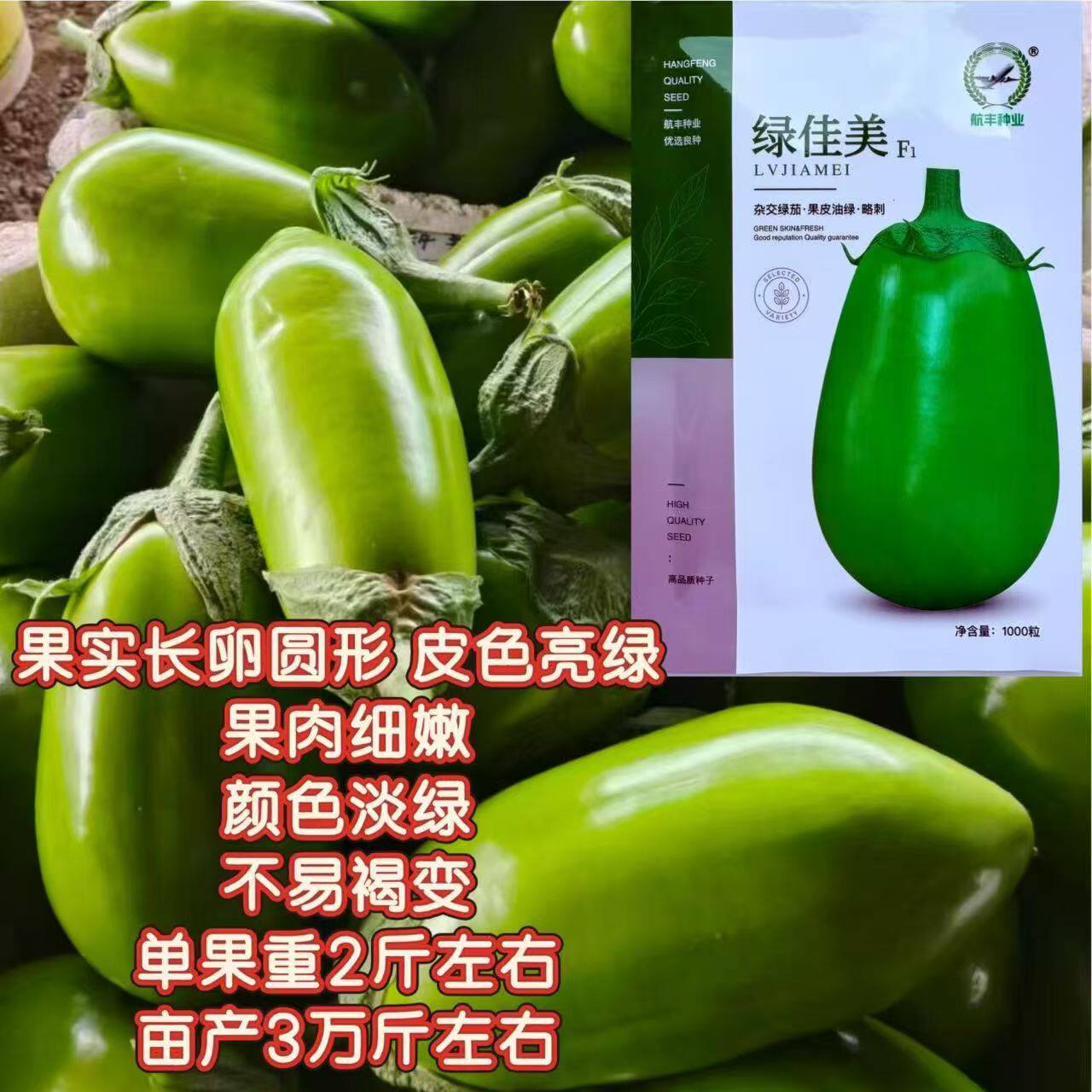 绿佳美茄子种子高产抗病耐热耐寒