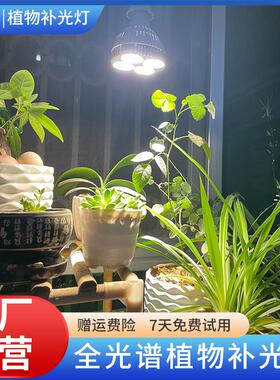 阳台太阳光模拟灯仿太阳全光谱灯室内养吊兰卉绿生长补光灯