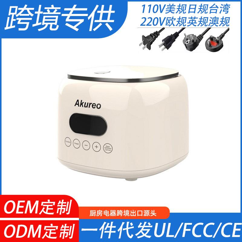 Amazon跨境电饭煲智能110v电锅滤篮多功能电饭锅出口台湾美国日本