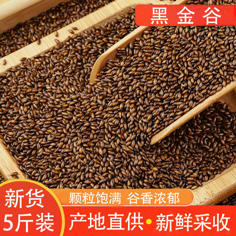 脱壳加纳金丝雀仔鸽子鸟饲料高蛋特色米/面粉/杂粮