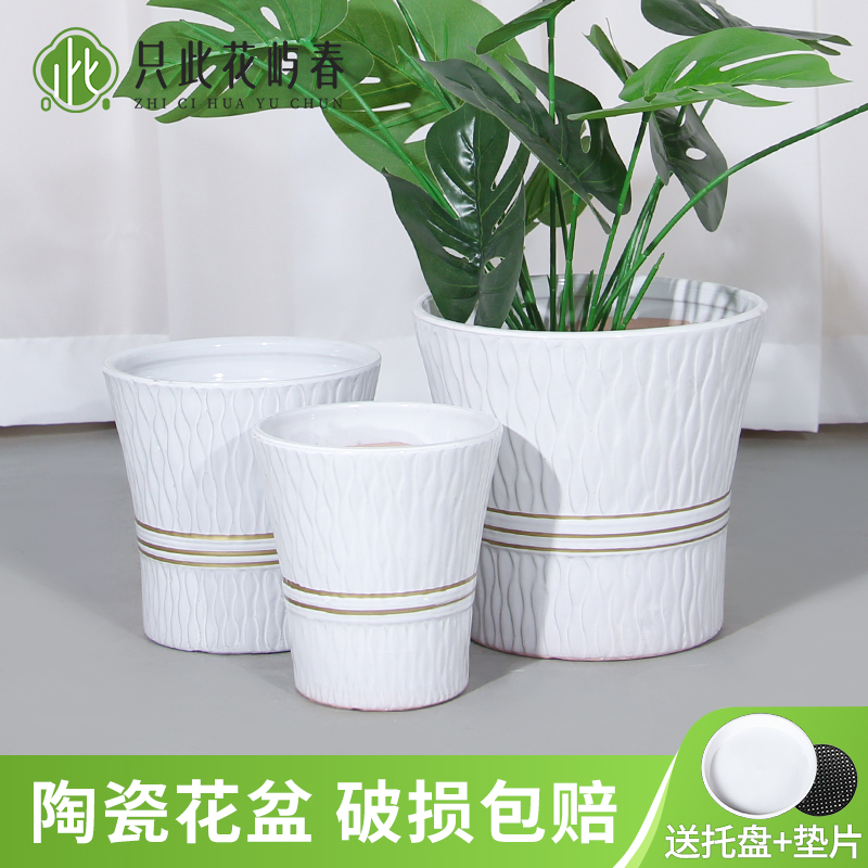 陶瓷花盆大号特大号带托盘多肉花盆欧式简约白色绿萝客厅阳台通用