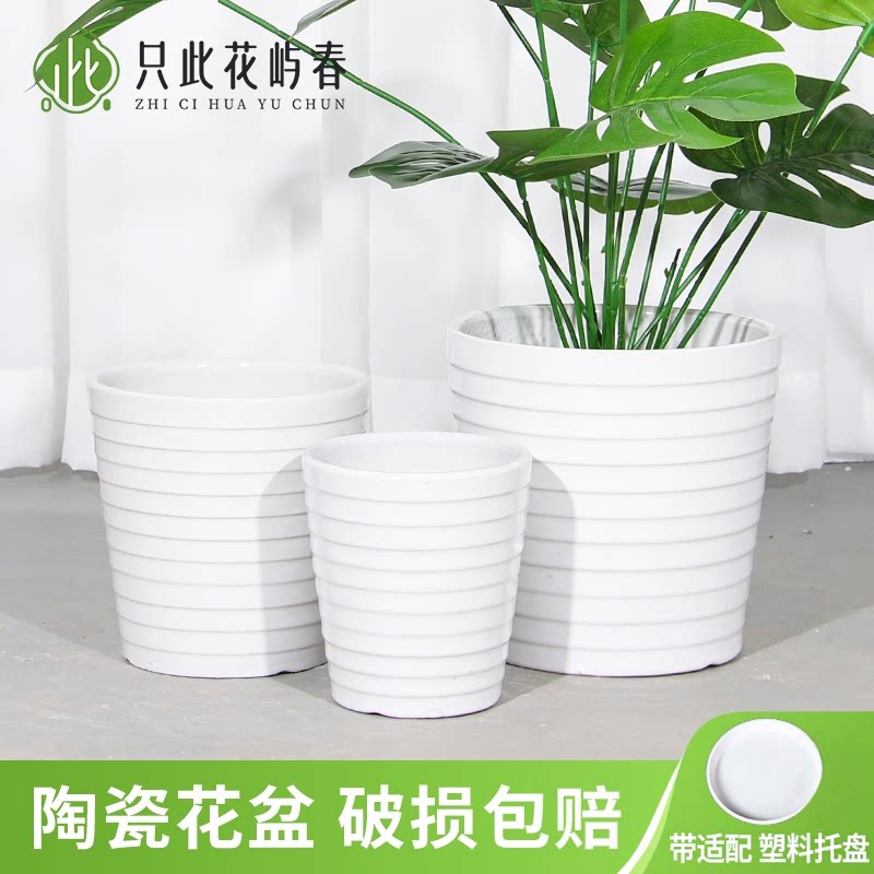 陶瓷花盆大号特大号带托盘多肉花盆欧式简约白色绿萝客厅阳台通用