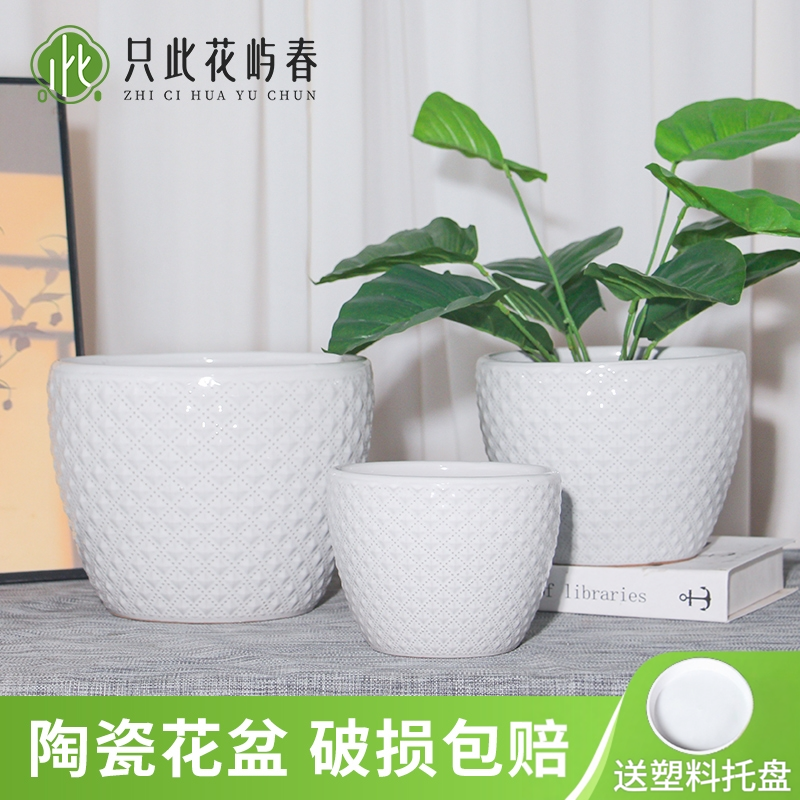 北欧简约陶瓷花盆轻奢家用客厅室内桌面绿植花卉盆带托盘特价清仓