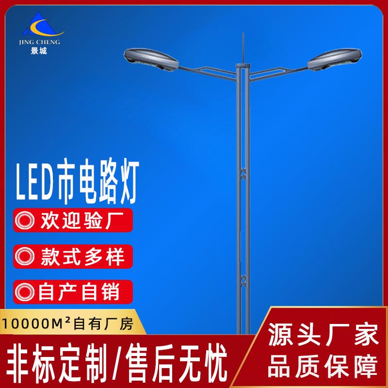 led市电路灯市政道路单臂单头双臂双头LED路灯6米8米路灯杆