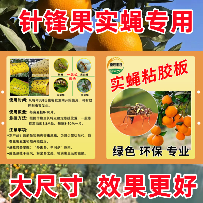 瓜果实蝇粘胶板柑橘大小实蝇粘虫板针蜂克星引诱捕神器实蝇粘胶板