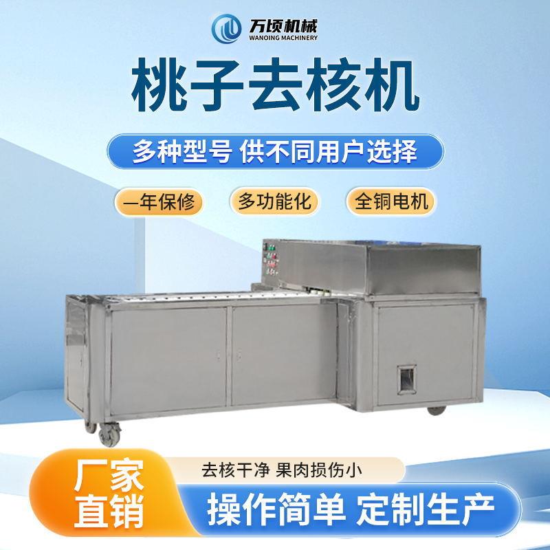 轨道式桃子去核机桃挖核机桃去胡切瓣机型号全