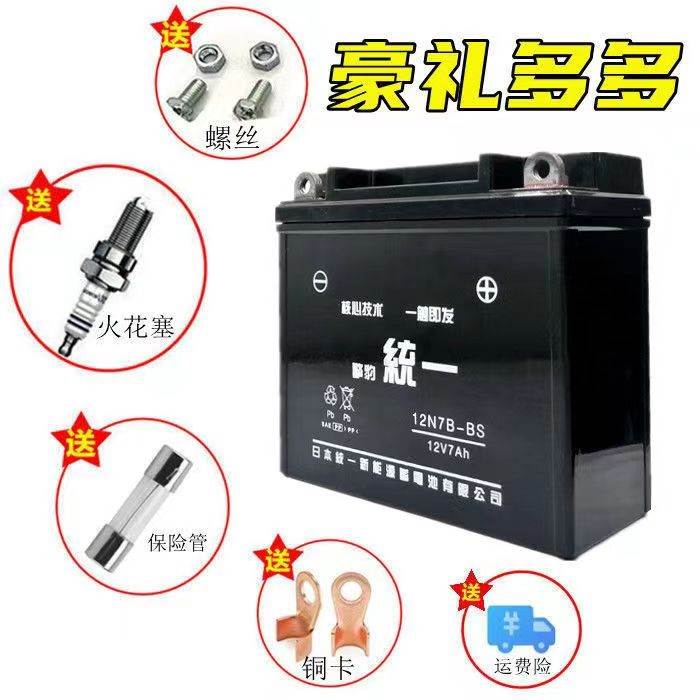 大运大阳五洋款DY150-3/5摩托车擎豹统一免维护蓄电池12V7A干电瓶