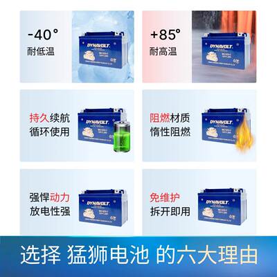 猛狮春风摩托车电瓶ST狒狒150/250NK/SR400NKGT650TR/MT国宾700CL