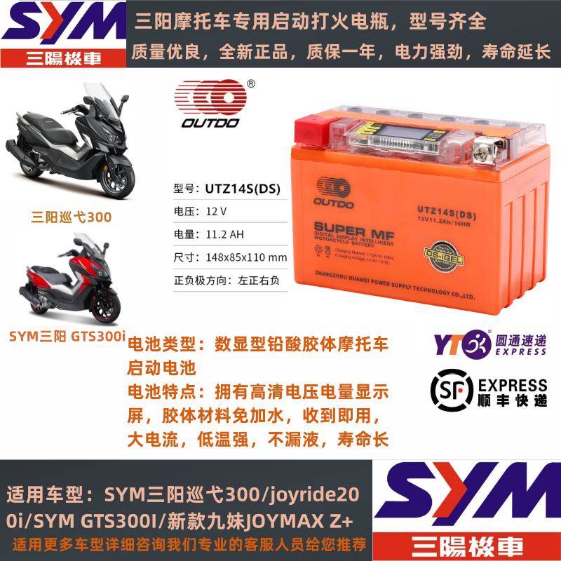 三阳飞度3/4/5巡戈150/300TL500九妹Z300摩托车电瓶12V锂电池通用