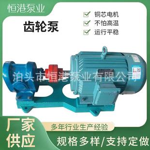 2.5齿轮泵增压泵燃油喷射泵供应 2CY1.08 2.53 2.54.2 2.57.5