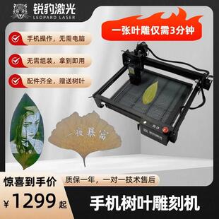 小型激光雕刻机金属树叶雕刻机激光打标机切割机 锐豹激光M7